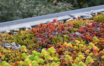the cost of Wood Eaton green roof installation