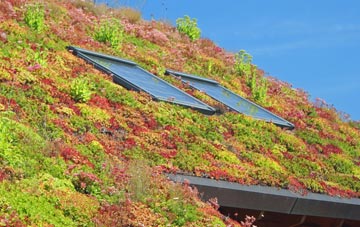 Wood Eaton living roof systems